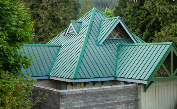 Best Roof Maintenance and Cleaning  in Woodburn, IN