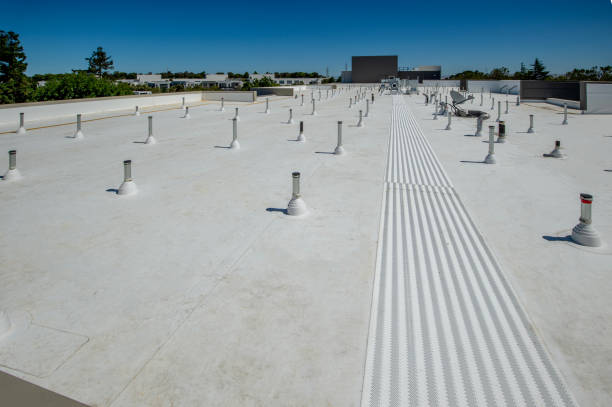 Best Solar Panel Roofing Installation  in Woodburn, IN